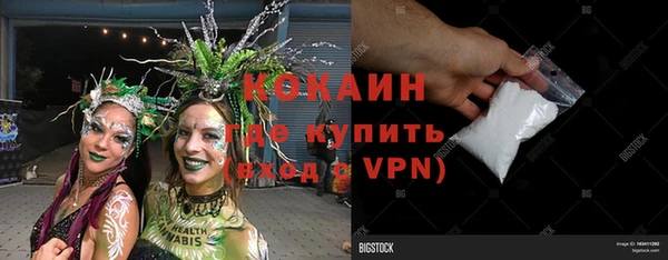 гидра Богородск