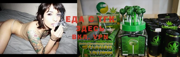 гидра Богородск