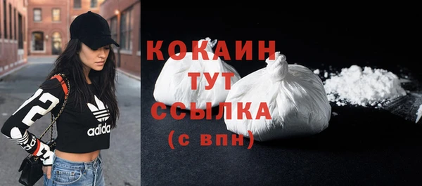 гидра Богородск