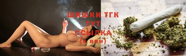 гидра Богородск