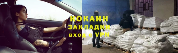 гидра Богородск
