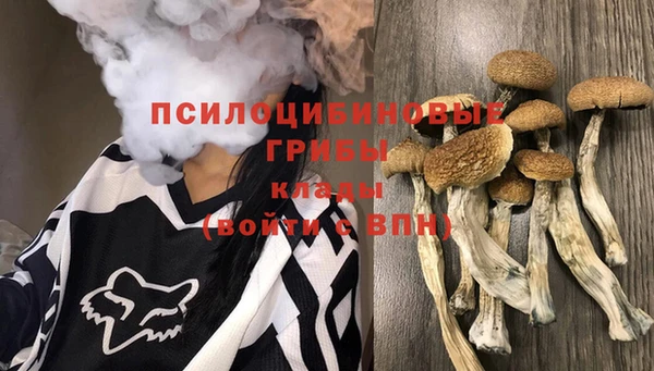 ECSTASY Богородицк
