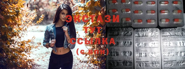 ECSTASY Богородицк