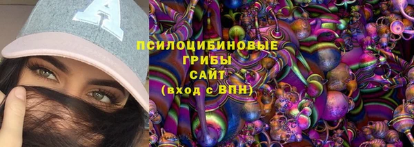 мяу мяу кристалл Богданович