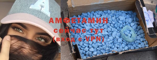 ECSTASY Богородицк