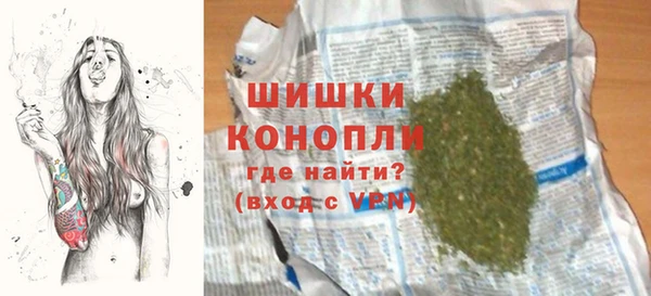 ECSTASY Богородицк