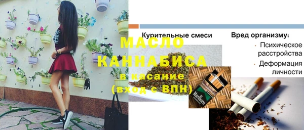 гидра Богородск