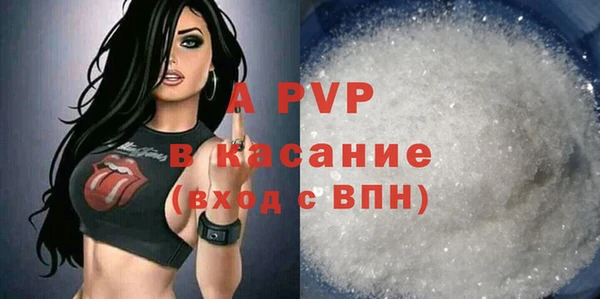 гидра Богородск