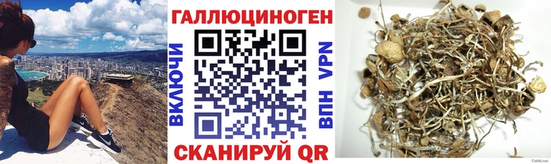 Псилоцибиновые грибы мицелий  цены наркотик  Наволоки 